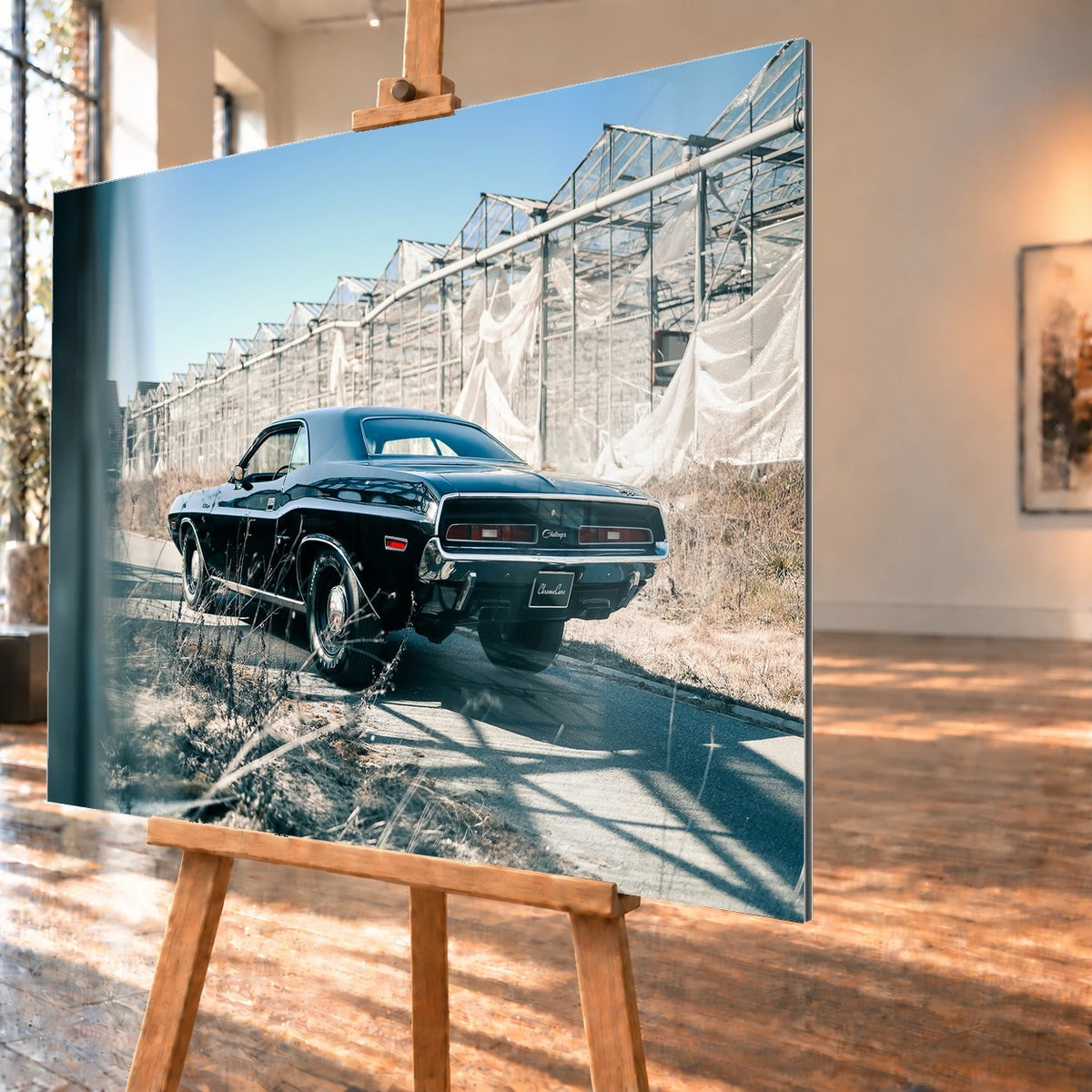 Der schwarze Dodge Challenger ist schräg von hinten auf einem Industriegelände aufgenommen; breite Karosserie und rote Rückleuchten wirken kraftvoll. Motiv „Timeless Pulse“ als Alu gebürstet-Wandbild, schräg von der Seite auf einer Holzstaffelei.
