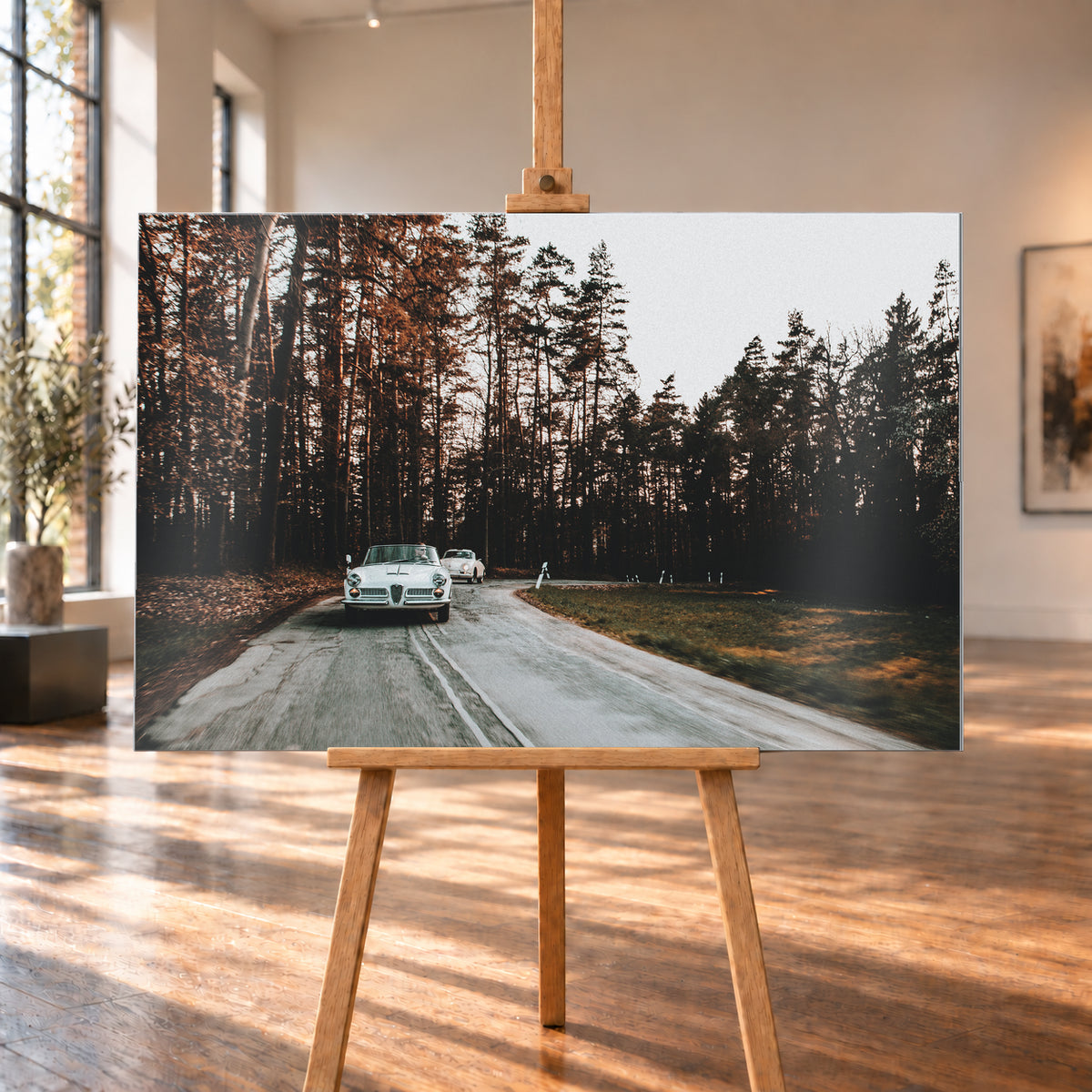 Ein heller 1959 Alfa Romeo 2000 Touring Spider fährt im Vordergrund auf einer kurvigen Waldstraße auf die Kamera zu. Dahinter folgt ein heller 1959 Porsche 356 A Reutter. Dunkle Bäume, braunes Laub, grauer Asphalt und ein heller Himmel prägen die Szene; Visualisierung als Alu gebürstet-Wandbild, auf einer Holzstaffelei in einem hellen Galerieraum.