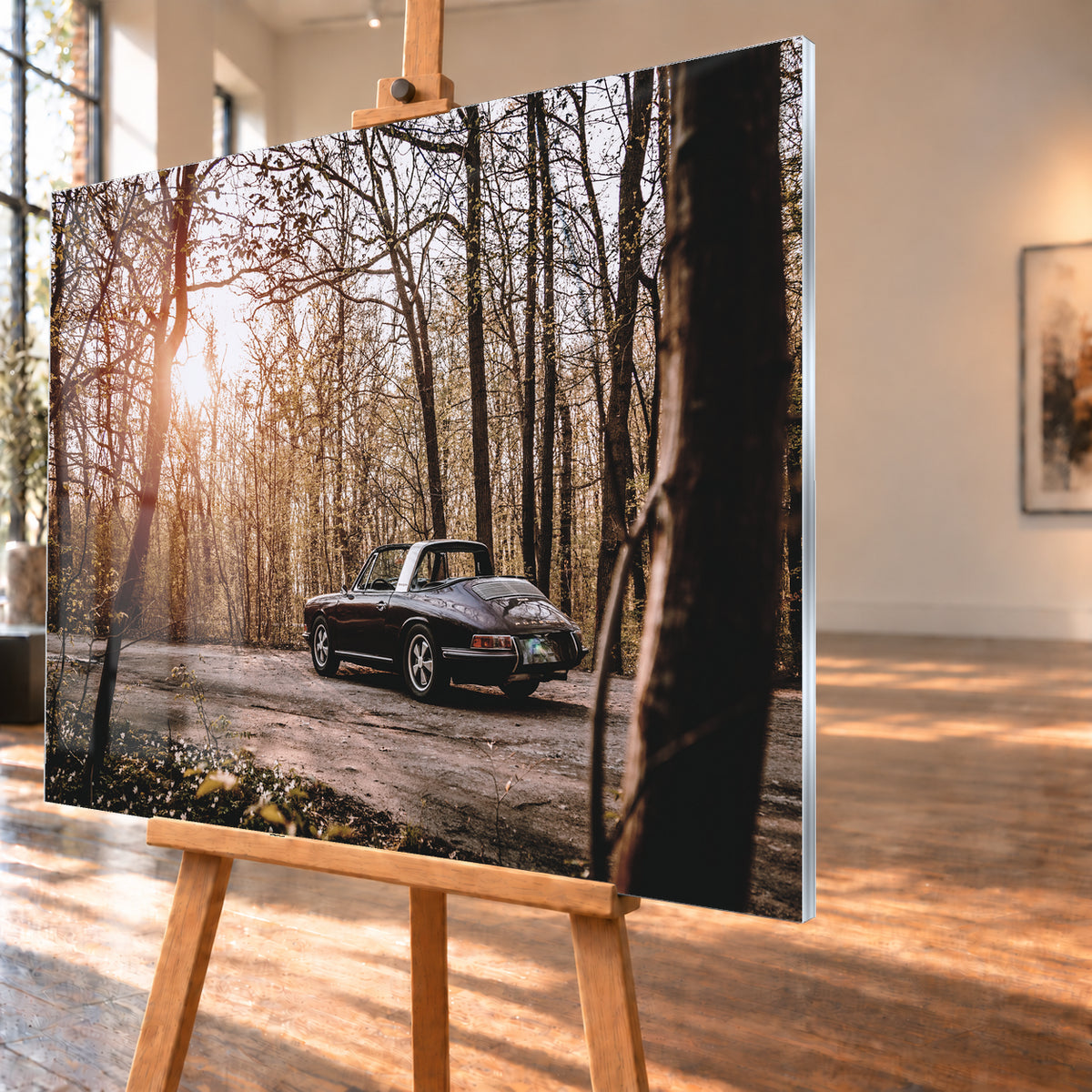 Dunkler 1967 Porsche 911 S Softwindow in seitlicher Heckansicht auf einer unbefestigten Fläche im Wald. Die offene Dachpartie und die helle Bügelzone sind sichtbar, während tiefes Sonnenlicht links durch hohe, spärlich belaubte Bäume fällt; Visualisierung als Acrylglas-Wandbild, schräg von der Seite auf einer Holzstaffelei.