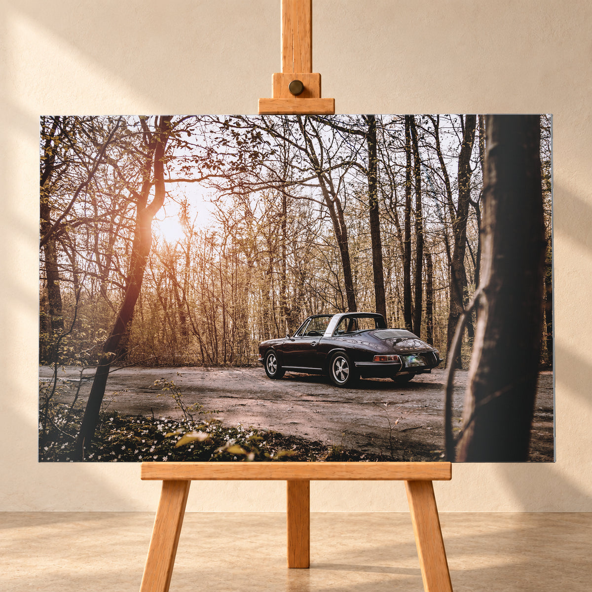 Dunkler 1967 Porsche 911 S Softwindow in seitlicher Heckansicht auf einer unbefestigten Fläche im Wald. Die offene Dachpartie und die helle Bügelzone sind sichtbar, während tiefes Sonnenlicht links durch hohe, spärlich belaubte Bäume fällt; Visualisierung als Alu gebürstet-Wandbild, frontal auf einer Holzstaffelei.