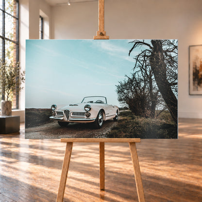 Heller Alfa Romeo 2000 Touring Spider in tiefer Front-Dreiviertelansicht auf einem schmalen Weg neben einem großen knorrigen Baum unter bläulichem, bewölktem Himmel; Visualisierung als Alu gebürstet-Wandbild, auf einer Holzstaffelei in einem hellen Galerieraum.