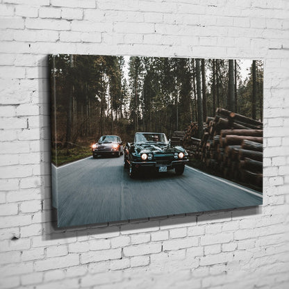 C2 & 911 – Forest Run auf Leinwand an weißer Ziegelwand