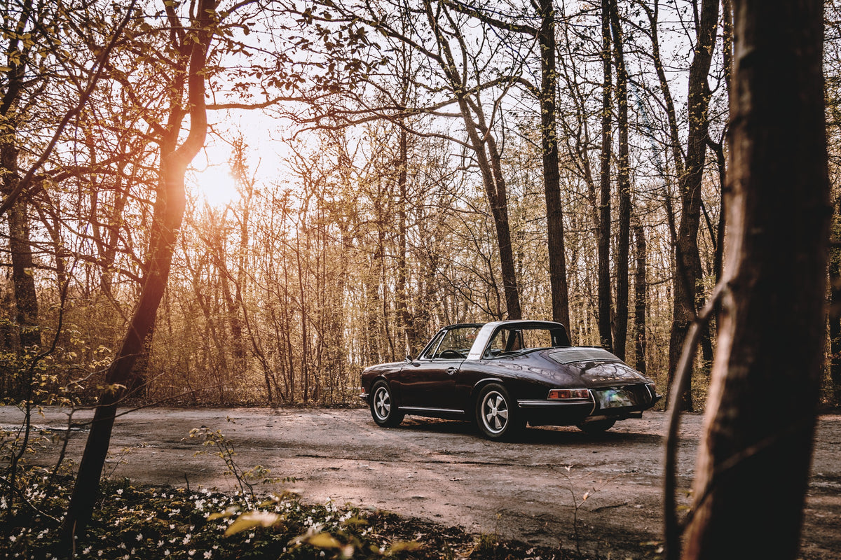 Dunkler 1967 Porsche 911 S Softwindow in seitlicher Heckansicht auf einer unbefestigten Fläche im Wald. Die offene Dachpartie und die helle Bügelzone sind sichtbar, während tiefes Sonnenlicht links durch hohe, spärlich belaubte Bäume fällt.