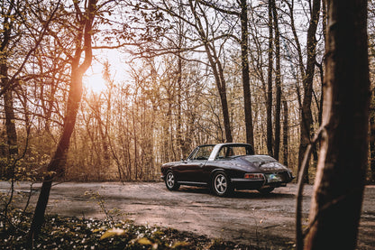 Dunkler 1967 Porsche 911 S Softwindow in seitlicher Heckansicht auf einer unbefestigten Fläche im Wald. Die offene Dachpartie und die helle Bügelzone sind sichtbar, während tiefes Sonnenlicht links durch hohe, spärlich belaubte Bäume fällt.