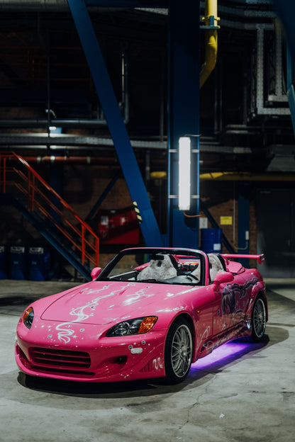 Der pinke Honda S2000 aus „2 Fast 2 Furious“ steht mit offenem Verdeck schräg von vorn in einer dunklen Industriehalle. Weißes Dekor und eine große Seitengrafik zieren die Karosserie; unter dem Wagen leuchtet violettes Licht.