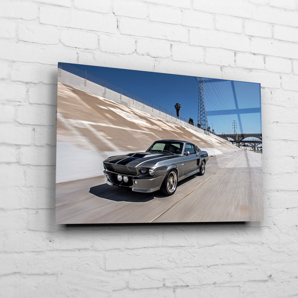 Eleanor – LA River Drive auf Acrylglas an weißer Ziegelwand
